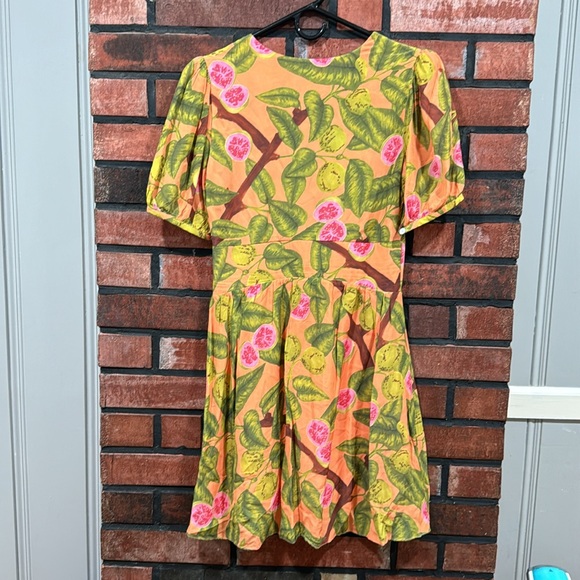 FARM Rio Guava Mini Dress - Picture 8 of 8
